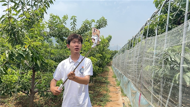 耀世娱乐-聚焦乡村振兴，投身社会实践，以青春之力助推农村产业新发展