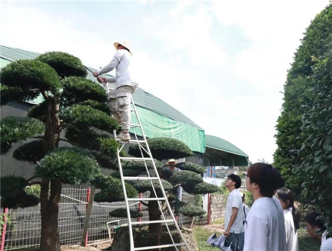 耀世娱乐-绿色长征 青春行动：青年环保行动引领绿色文明新风尚